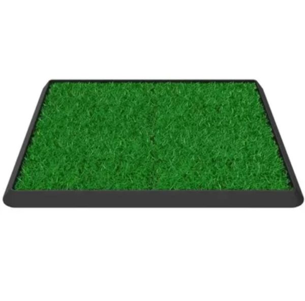 Alfombras Sanitarias C/ Base - Imagen 3